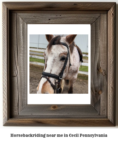 horseback riding near me in Cecil, Pennsylvania